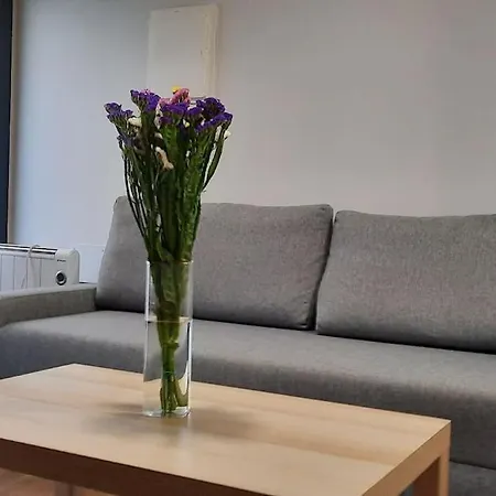 Апартаменты Casas Da Brixida. Accesibel